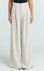 Xandria Pants - Double Pleated Wide Leg Pants in Stone